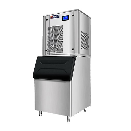 400公斤raybeg雷竞技